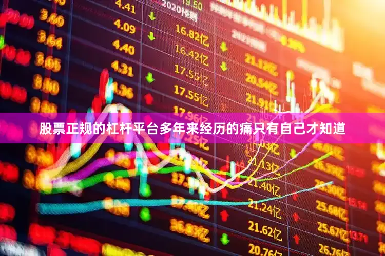 股票正规的杠杆平台多年来经历的痛只有自己才知道