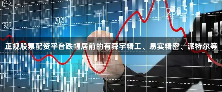 正规股票配资平台跌幅居前的有舜宇精工、易实精密、派特尔等